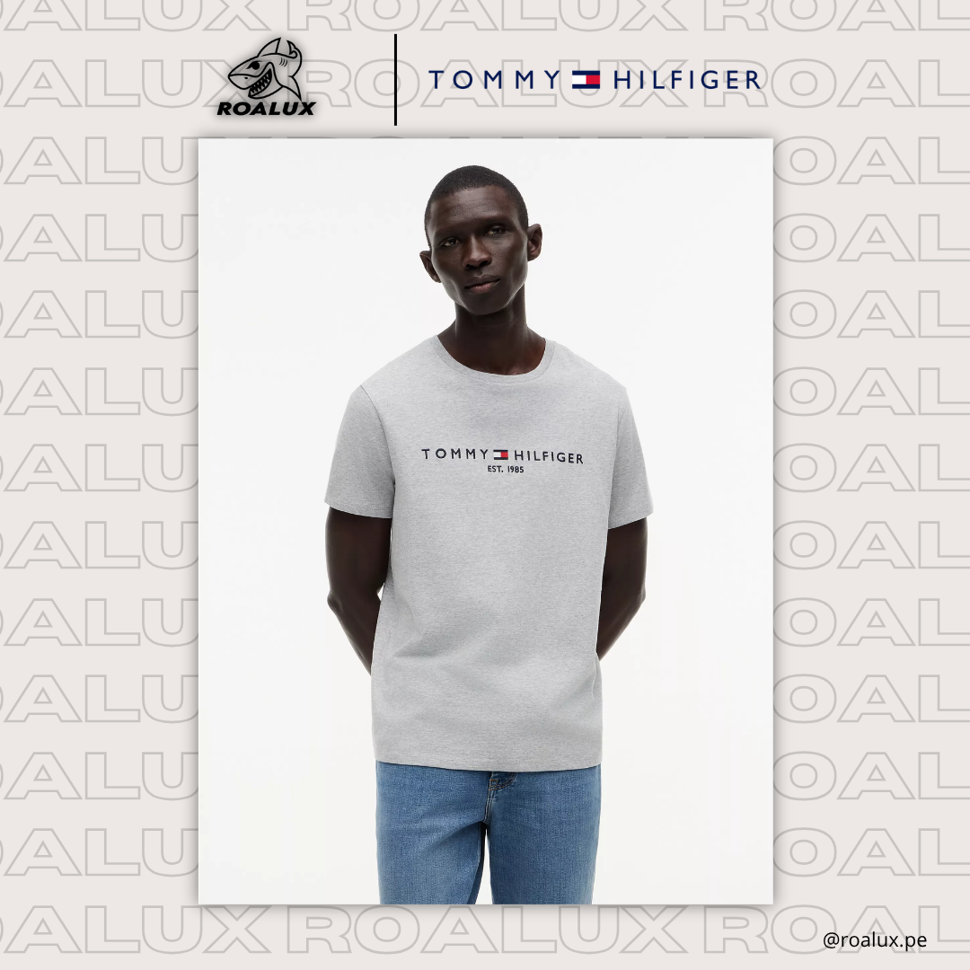 Embroidered Tommy Logo T-Shirt para Hombre