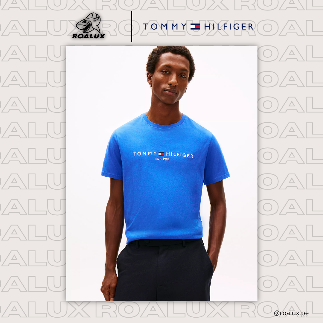 Embroidered Tommy Logo T-Shirt para Hombre