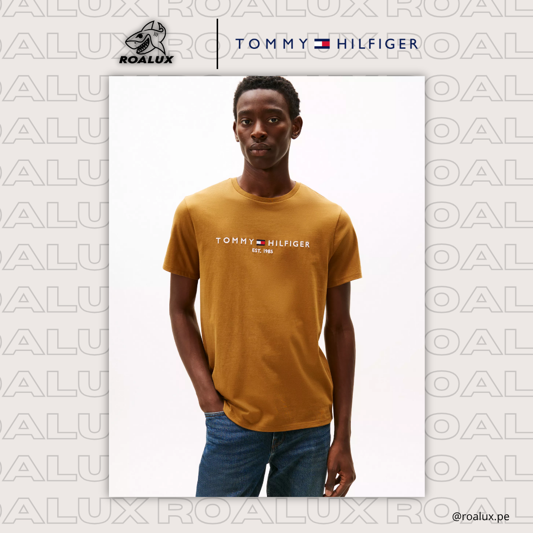 Embroidered Tommy Logo T-Shirt para Hombre