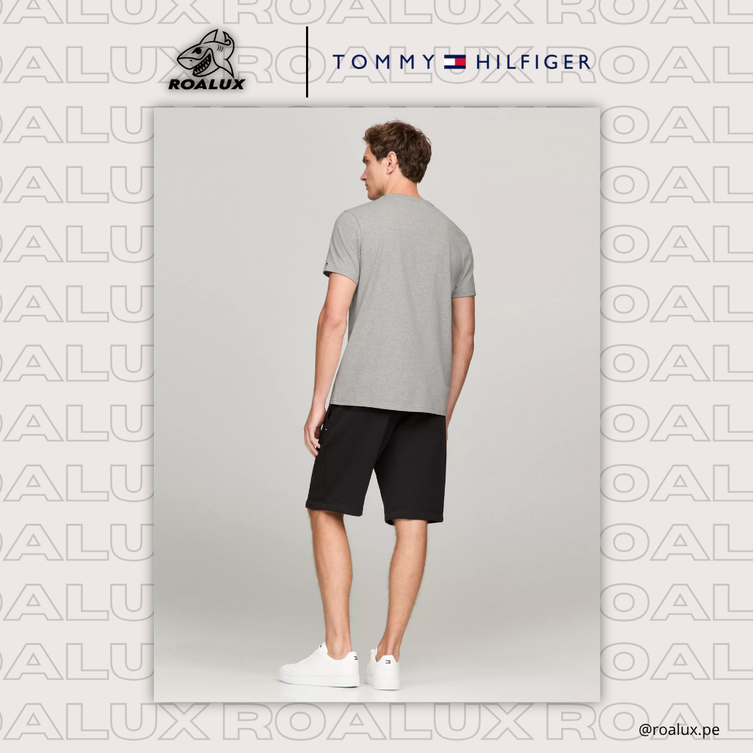 Embroidered Tommy Logo Slim Fit T-Shirt para Hombre
